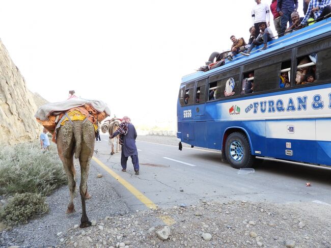 最初はラクダを撮ろうって言っていたところに、この巡礼者が現れてどんちゃん騒ぎになっています。