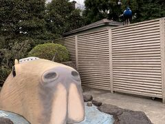 お弁当をピックアップしたので伊豆シャボテン公園へ。山の上にあるからすごい寒かったのに薄着していってしまって誤算。アウトドアで寒いってこのあと全てがダメになる予感がしたけど、予感は的中。。