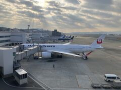 おせちと日本酒を楽しんだら福岡空港に着いてました。
今年のおせちも良かったです。