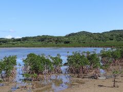 石長田海岸（写真）は、対岸の西表島のようなマングローブ林を眺めることが出来ます。