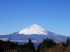 あけましておめでとうございます。暖かく穏やかな陽気のお正月です。
御殿場IC付近がアウトレットへ向かう車で混んでいましたが、それ以外は順調。写真は途中の乙女峠からの富士山です。
