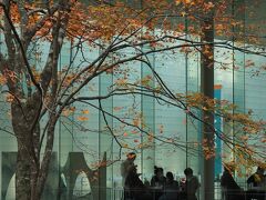 2022/11/20 ポーラ美術館（箱根）

全面ガラス張り
自然光の射し込みが美しいポーラ美術館

今まで、どちらかというと
盛夏が似合うイメージを持っていましたが
晩秋の佇まいもこんなに絵になるとは！