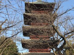 池上本門寺の五重塔　それにしても雲一つない晴天に恵まれました