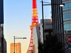 2神社初詣終えて7時過ぎ、東京タワーと六本木ヒルズも見れたところで朝マックでピットイン。