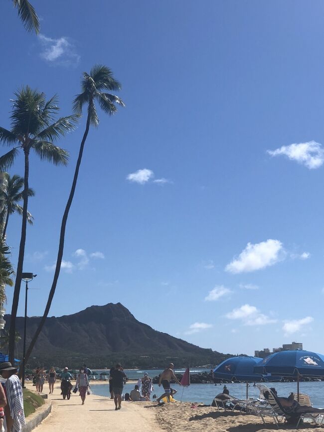 やっとこの地に立てました。<br />空港からは某taxを初めて予約してましたが定額より高い料金を請求されリピなしです。<br />この景色を見たら何もかも忘れます