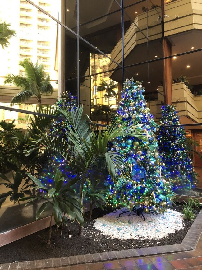 ハイアットのクリスマスツリー。