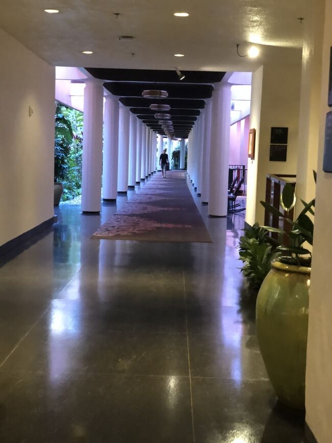 ここも必ず通ります