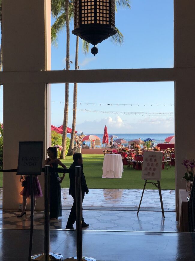 見てるだけで癒される