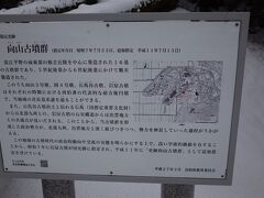 向山古墳群