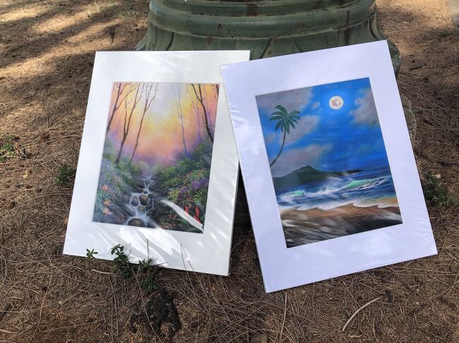 この２枚を購入