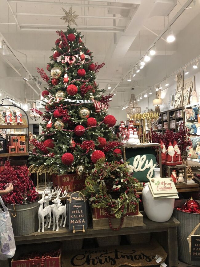 Soha Livingのツリー