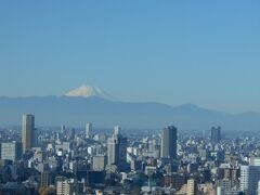 東京タワーに着き、150mのメインデッキへ。
集合時間は11時20分。
東京タワーからの富士山です。きれいですね～。
