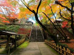 1回目は真冬に来たのでわかりませんでしたが、紅葉の季節にはまるで京都や鎌倉のような美しい境内が。