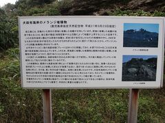 犬田布岬のメランジ堆積物
ここは太平洋とフィリピン海の二つのプレートがぶつかり混ざり合った堆積物が長い年月を経て隆起した場所