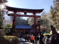 富士浅間神社へ初詣に行きましたが、ものすごい人出で社殿までたどり着けずに帰ってきました。数千人は並んでいました。