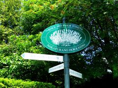 多分人生３度目のファーム富田。
変わらない風景がそこに。
無料で見学できるなんて、お手入れ大変だろうに。
ファーム富田の皆さん、ありがとうございます。