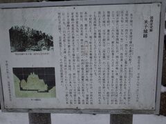 米子藩
1618年迄の短期間存在した。米子城を藩庁とする。
鳥取藩
1618年以降は、鳥取藩に編入される。因幡伯耆２国を統治したために、米子城には城代家老を配置した。代々荒尾家が委任統治した。
