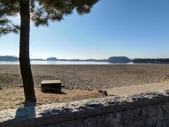 海の公園に出ました。