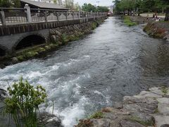 湧玉池から流れ出す神田川。水量多い。これ、全部湧き水だなんて。