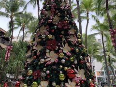 クリスマスツリーがハワイらしくって、とてもステキ！