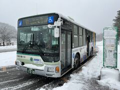 帰りは駅まで歩きたくなかったのでバスで青森駅に戻ります。電車と比べると倍の時間と交通費がかかるのですが、耐えられない寒さを回避できるなら問題なし！