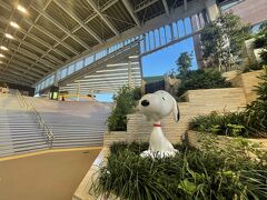 南町田グランベリーパーク駅。
早速スヌーピーが迎えてくれます。綺麗で開放的な駅です。