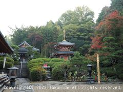 平等寺

聖徳太子が開基したと言われ、本尊も聖徳太子作(を平安時代に復元)と言われる十一面観世音菩薩です。
右から2004年に再建された二重塔釈迦堂、熱とり地蔵、不動堂です。


平等寺：https://ja.wikipedia.org/wiki/%E5%B9%B3%E7%AD%89%E5%AF%BA_(%E6%A1%9C%E4%BA%95%E5%B8%82)
聖徳太子：https://ja.wikipedia.org/wiki/%E8%81%96%E5%BE%B3%E5%A4%AA%E5%AD%90
本尊：https://ja.wikipedia.org/wiki/%E6%9C%AC%E5%B0%8A
十一面観世音菩薩：https://ja.wikipedia.org/wiki/%E5%8D%81%E4%B8%80%E9%9D%A2%E8%A6%B3%E9%9F%B3