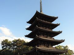 興福寺

国宝の五重塔です。


興福寺：https://ja.wikipedia.org/wiki/%E8%88%88%E7%A6%8F%E5%AF%BA
興福寺：https://www.kohfukuji.com
国宝：https://kunishitei.bunka.go.jp/heritage/detail/102/2461
五重塔：https://www.kohfukuji.com/construction/c06/