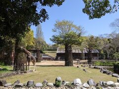 15:00キックオフなので、その前にスタジアムのちょと手前にある、とべ動物園に行きました。
