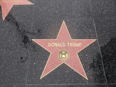 ふと床を見てみるとドナルドトランプ前大統領の星型。大統領就任中は、ごみでたくさんだったそうだが、今はいたって普通