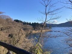 芦ノ湖が綺麗に見えます。