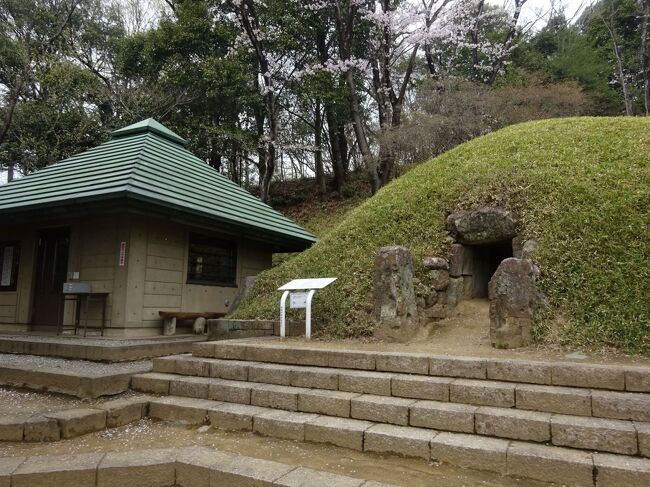 上野国寺社旧跡めぐり5、元祖マザコン、山上碑と放光寺』高崎 上野国寺社旧跡めぐり5、元祖マザコン、山上碑と放光寺』高崎