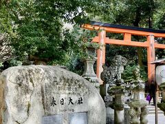 鹿寄せを見た後、春日大社に向かいました。

参道の両側には石灯篭が並び、独特の雰囲気です。