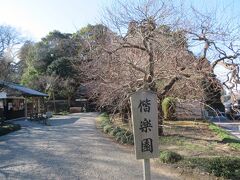 日本三名園の内、水戸の偕楽園には訪れたことがなかったので、偕楽園にやって来ました。
これで金沢の兼六園、岡山の後楽園そして水戸の偕楽園を訪れることができました。