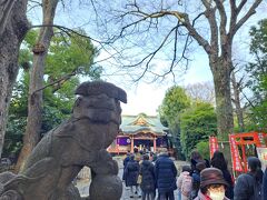 武蔵野八幡宮は沢山のお参りの方の長い列