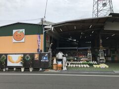 ミカン問屋の湯河原石澤商店でミカン購入