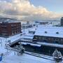 冬の北海道・寒さにびっくり日記② 小樽をあきらめて札幌で頑張った2日目