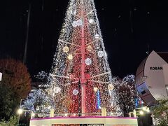 アーケード商店街全体がクリスマスを楽しんでいました。