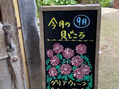 それではえこりん村に入村します☆

去年はとっても綺麗だったダリアウィーク
今年もこの時期を選んだけど一週間早かった