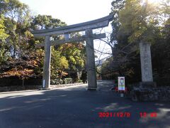 国体道路を渡って、NHK福岡放送局の東隣にある福岡縣護國神社に向かいます。入口にあった「日本一の原木大鳥居」です。調査中の看板が立ってました。