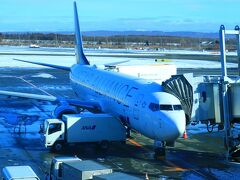 関空へは、この便に乗り込みます。
因みに、関空から同じ機材で那覇空港行きになります。
この時期、雪で遅延するケースがあるので、同じ機材で那覇まで行けると助かります。