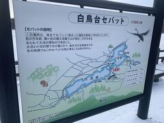 大沼に行く。
午前中は白鳥おらず・・・