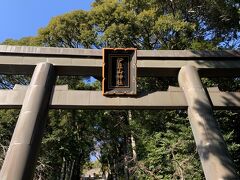 伊豆山神社到着。
まずは階段を上がります。
ここからは約170段。