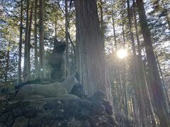 この後、近宮にもご挨拶するのが毎年の我が家の風習なのだが、近宮は危険なので立ち入り禁止となっていた。凄く残念。
整備されたらまた行けるようになると良いのだが。