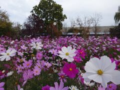 はい、ここからは植物園の写真が羅列してあるだけなのでスルーしてくださいね。

値上げラッシュの昨今、入園料200円はいつまでキープしてもらえるでしょうか。