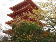 土方歳三のお墓のある石田寺もこの日は時間の関係で行けなかったので、また日を改めて、石田寺と高幡不動尊には絶対行きます！

