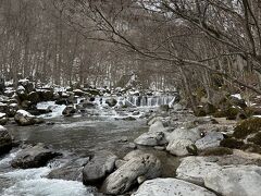 そして、レンタカーでなんとなくロープウェイに乗って樹氷をみたくなって行ってみることに。途中の奥入瀬渓流。