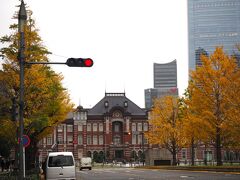 巡回バスで東京駅まできました。東京駅から歩いて坂下門に向かいます。途中の銀杏並木が、またきれい。