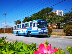 沖縄バスの730車という1978年生のバスでで、日曜の午前中からお昼までの限定運行。

エンジン音とギアの音がすげーのなんの南野陽子。
次こそ乗車したい。