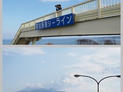 道路の中間地点にあった休憩所＆展望歩道橋にちょっと寄り道
休憩所にあった干拓事業の説明を見て、かつて生態系の変化を懸念する漁師さんたちが干拓を反対してることがニュースになっていたのを思い出しました。一方でこの事業によって高潮などの災害から守られている地域もあるわけで、みんなが納得・満足することってなかなかないんだな～と改めて考えさせられました。